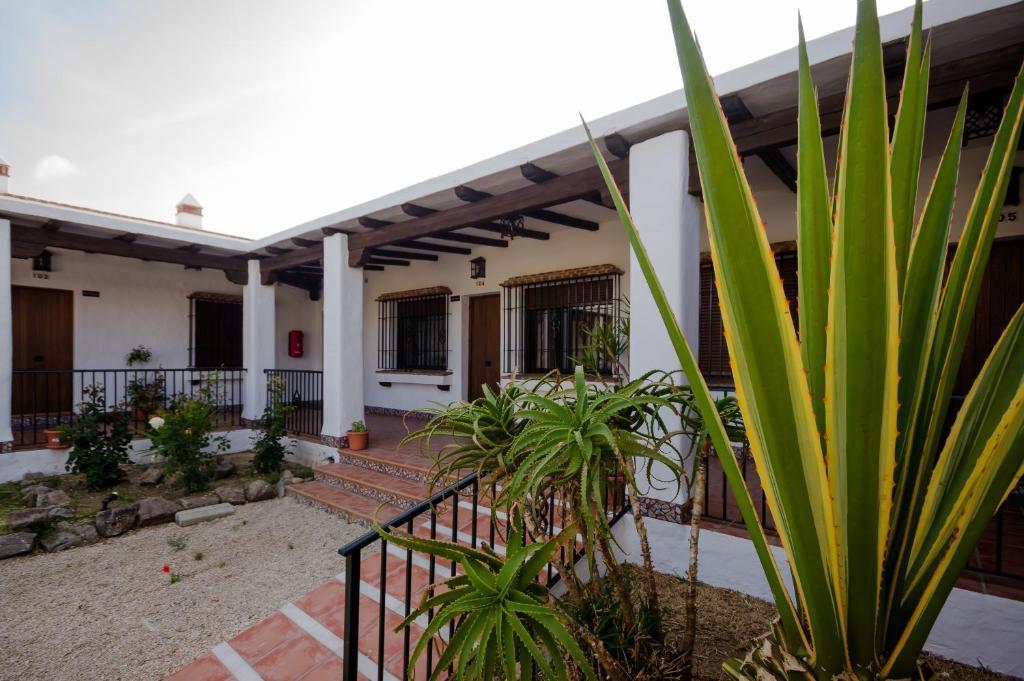Apartamento Hacienda Puerto Conil Conil De La Frontera Exterior foto